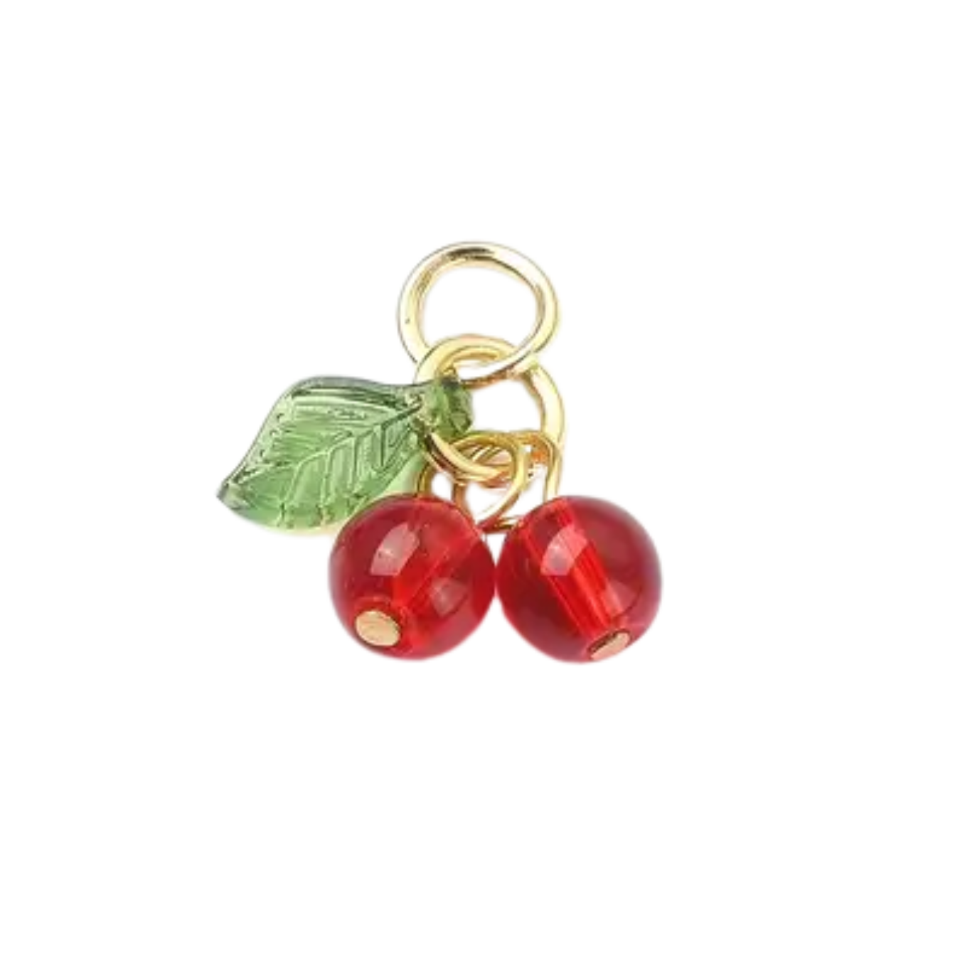 Swimwear Charms