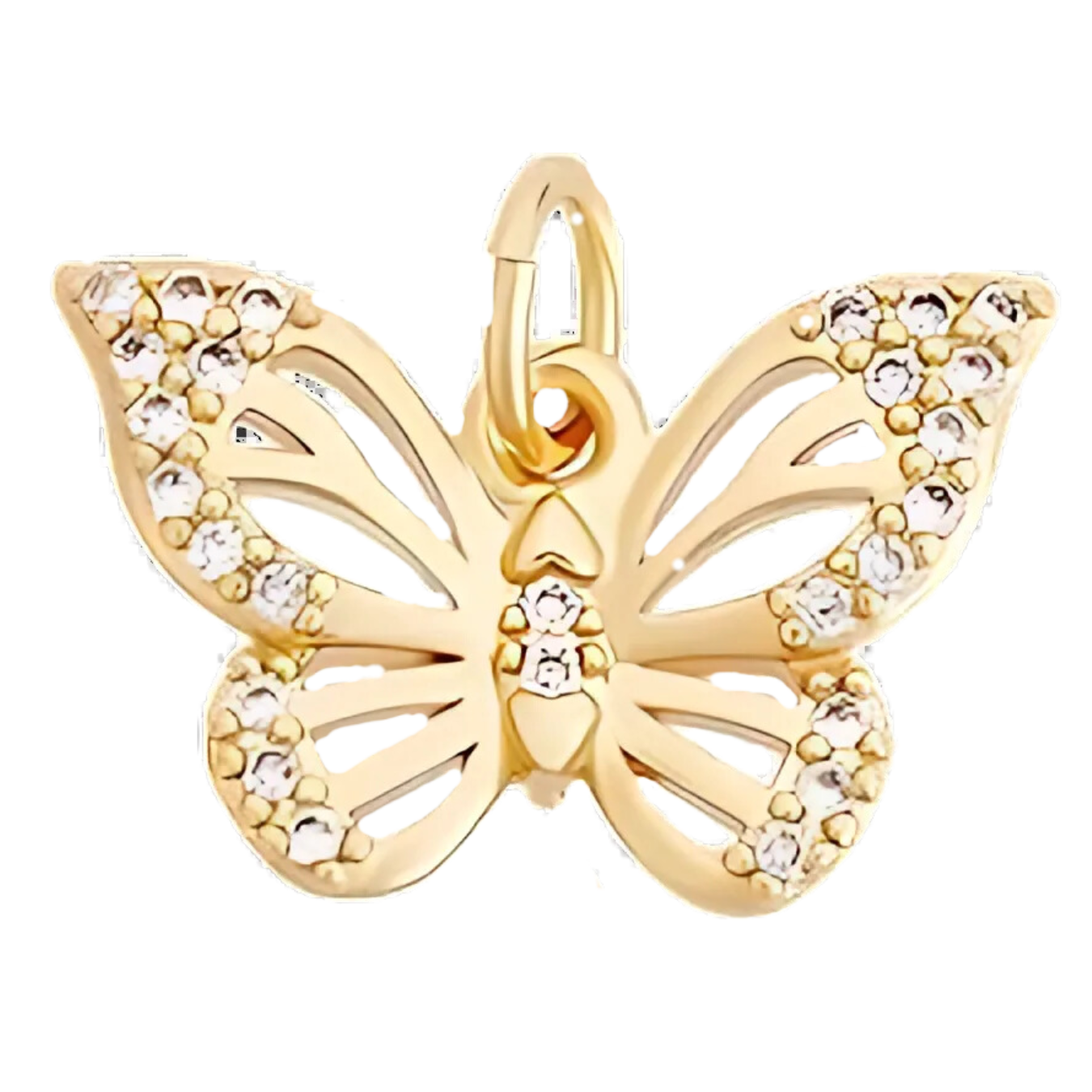 Butterfly Charm